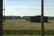 Oswiecim