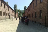 Oswiecim