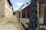 Oswiecim
