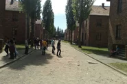 Oswiecim